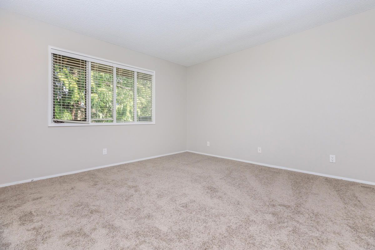 1 BED 1 BATH APARTMENT FOR RENT IN BELLEVUE, WA