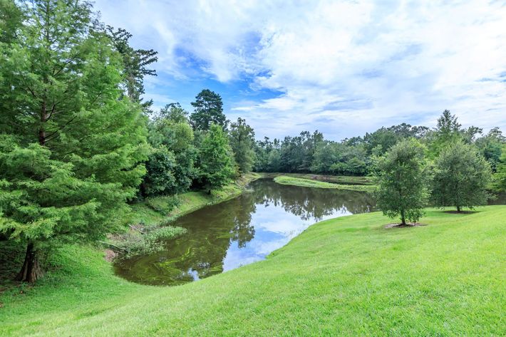 SCENIC STOCKED PONDS AT ABITA VIEW APARTMENT HOMES