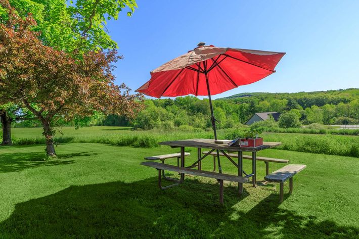 a red umbrella sitting on top of a lush green field
