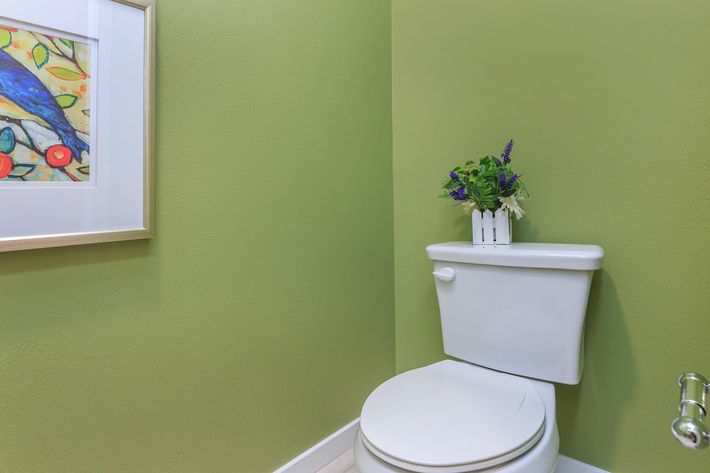 toilet with green walls
