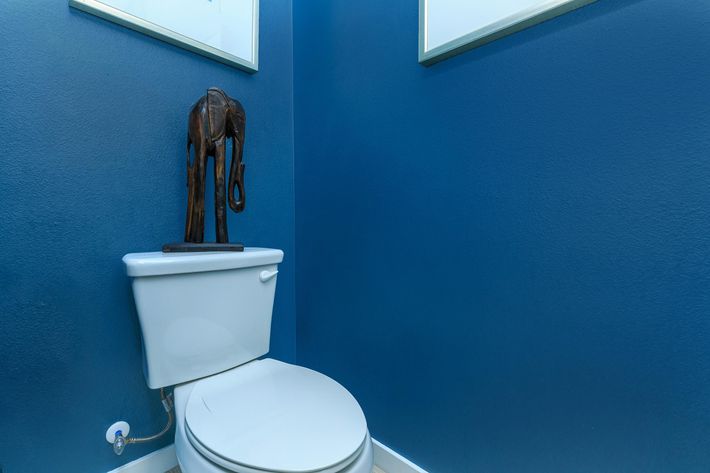 toilet with blue walls