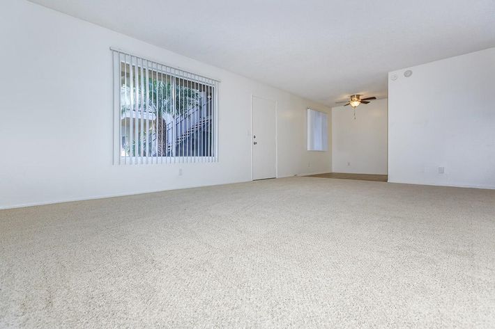 Living room with carpet