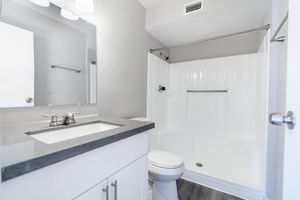 Renovated bathroom with shower, toilet, and granite mirror vanity