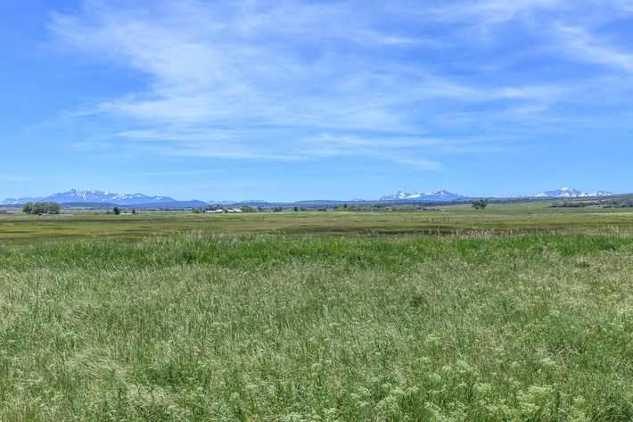 a large green field