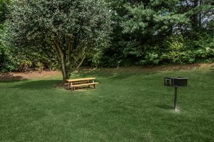 Barbecue and picnic area at British Woods Apartments