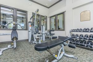 weight lifting equipment in the community gym 