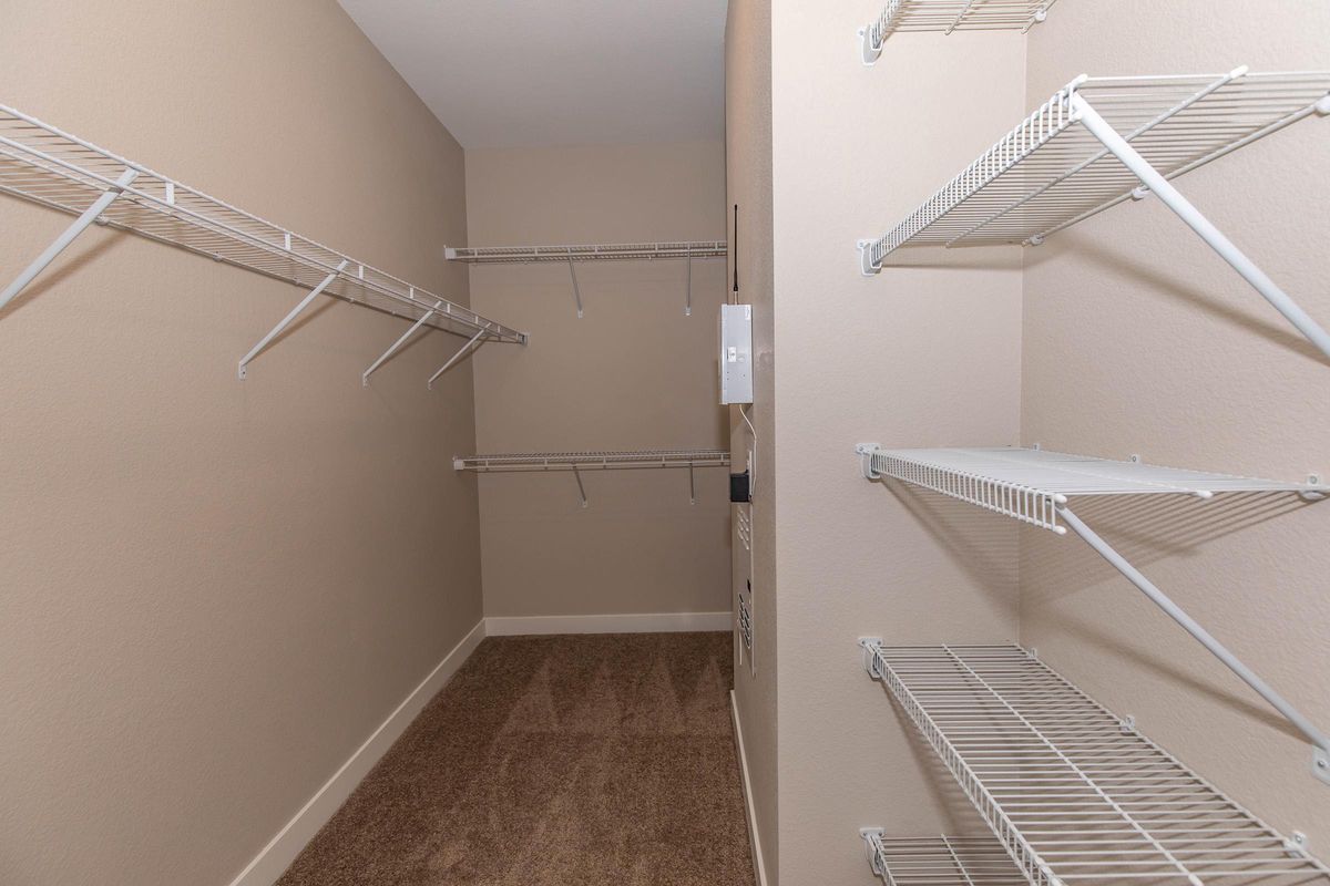 WALK-IN CLOSET WITH SHELVING