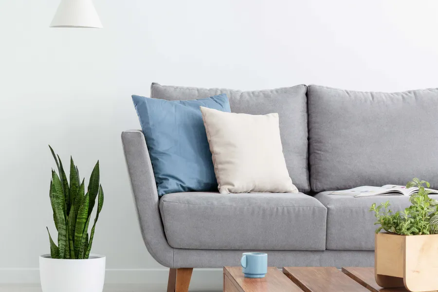 Apartment Features