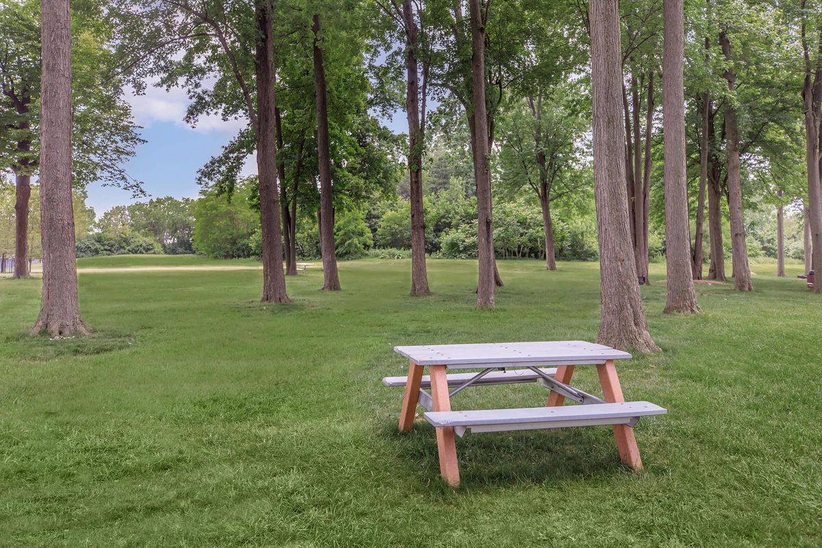 an empty park bench sitting in the grass