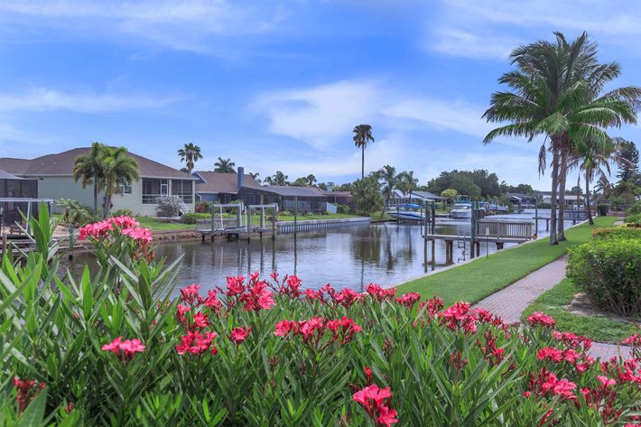 a colorful flower garden in front of a lake surrounded by palm trees