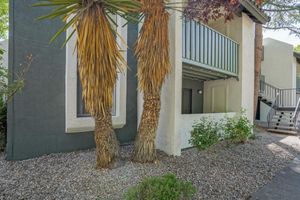 Lush Landscaping - Treehouse Apartments - Albuquerque - New Mexico