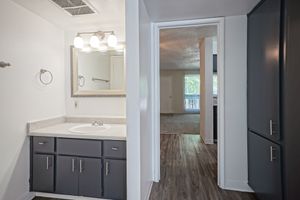 Dark grey bathroom vanity at Treehouse Apartments in Albuquerque, New Mexico