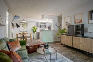 Updated Living Space with Wood-Style Plank Flooring- Treehouse Apartments - Albuquerque - New Mexico