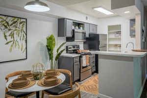 Open Concept Updated Kitchen and Dining Area - Treehouse Apartments - Albuquerque - New Mexico