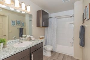 Modern bathroom featuring a large mirror, dark wood cabinetry, and a granite countertop. A white bathtub is equipped with a shower, and light-colored tiles cover the floor. The space includes decorative elements like framed artwork and a potted plant for a fresh ambiance. Natural light brightens the area.