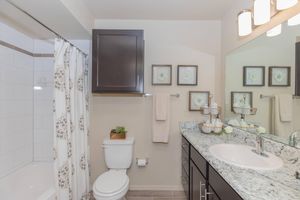A modern bathroom featuring a bathtub with a shower curtain, a white toilet, and a granite countertop with a sink. The walls are light-colored, and there are decorative framed pictures and towel racks. A small plant and decorative baskets add a touch of greenery and organization. Bright vanity lights illuminate the space.