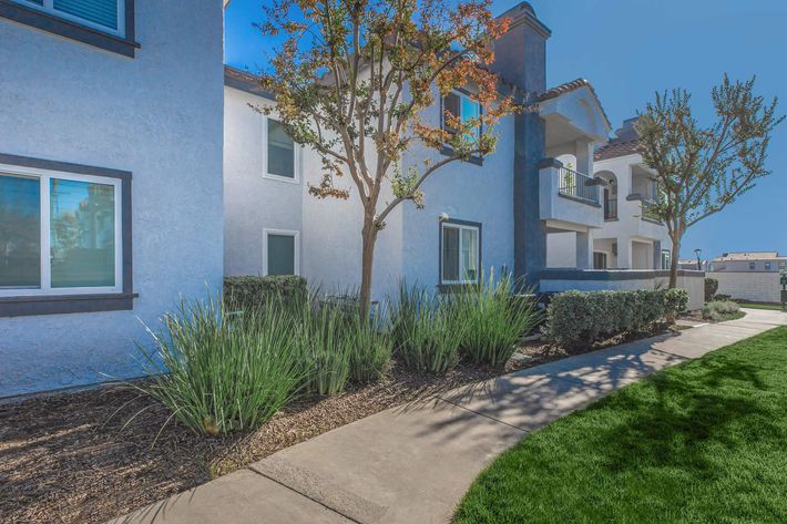 Landscaping at Enclave at Town Square Apartments in Chino, CA
