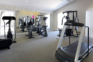 Modern gym fitness center with workout equipment