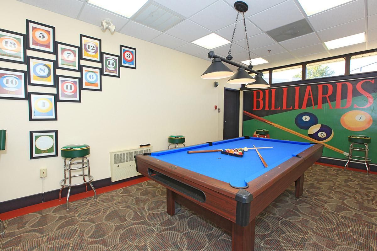 PLAY A GAME OF BILLIARDS WITH FRIENDS