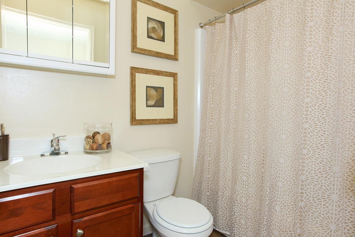 a brown and white shower curtain