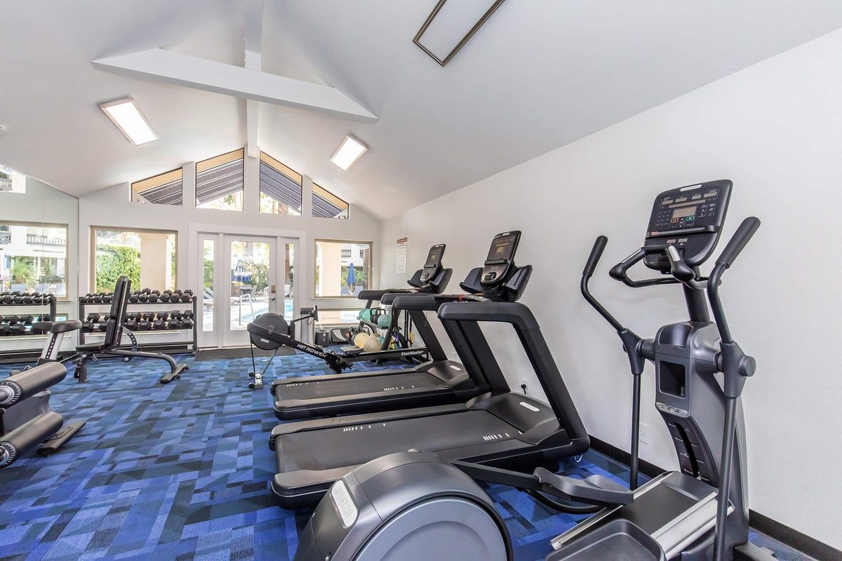 A bright, modern gym featuring exercise equipment including treadmills, ellipticals, and weight benches. The space has large windows allowing natural light, and blue carpeting enhances the contemporary feel. Weights can be seen in a rack against the wall, creating a well-equipped workout environment.