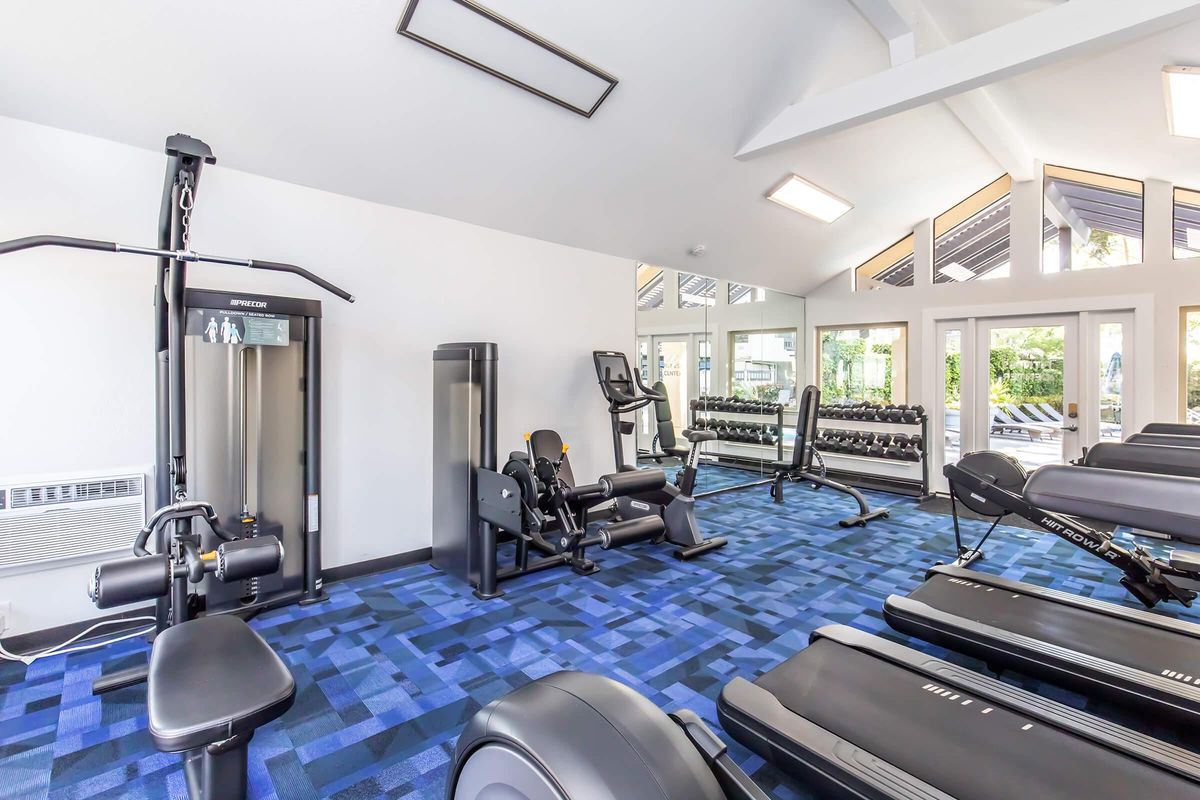 A well-equipped gym featuring various fitness machines, including a multi-station weight machine, a treadmill, and free weights. The space is brightly lit with large windows offering natural light, and the flooring is a blue carpet.