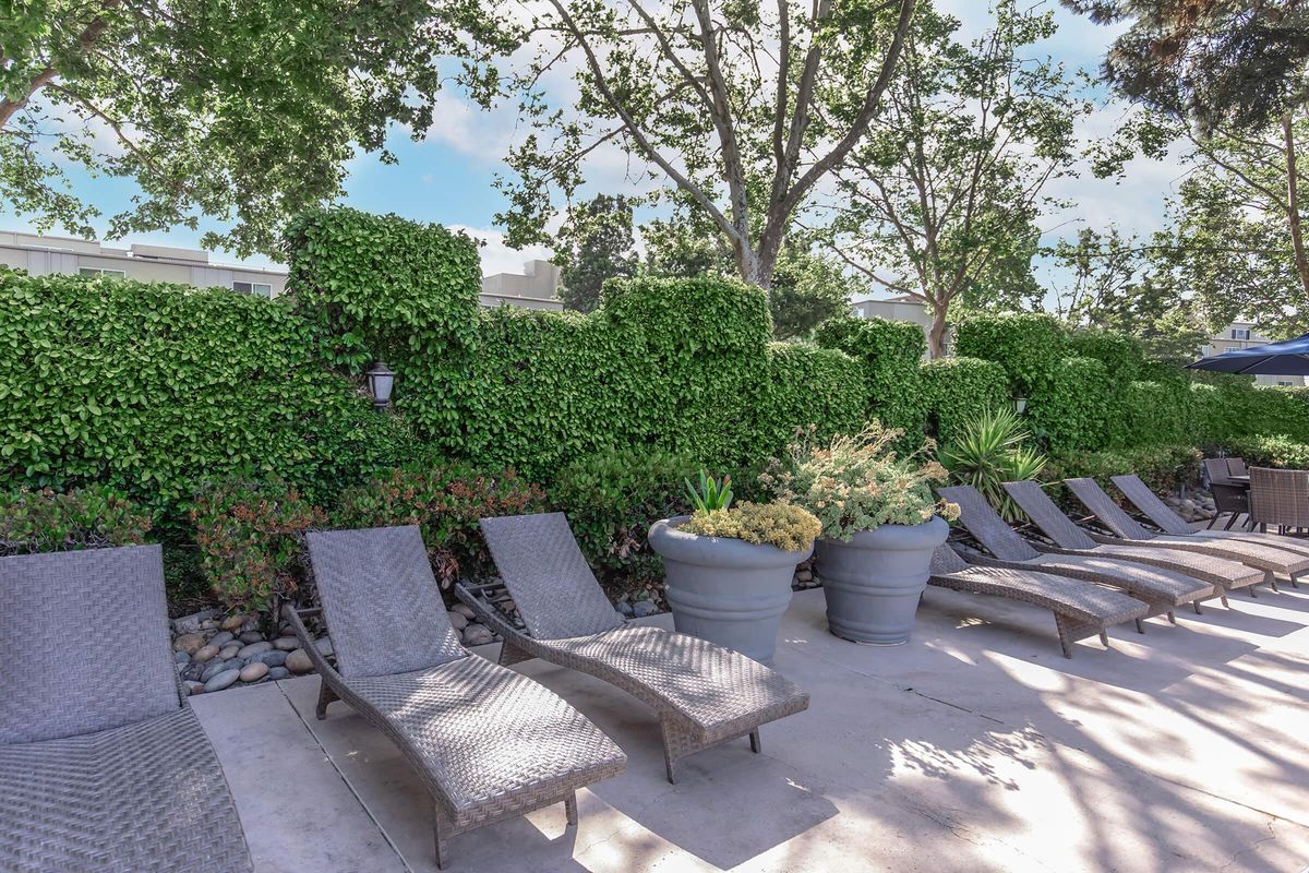 A serene outdoor setting featuring several lounge chairs arranged neatly beside a walkway. Lush green hedges provide privacy and shade, while potted plants add colorful accents to the area. The scene is relaxing and inviting, perfect for enjoying a sunny day by the pool.