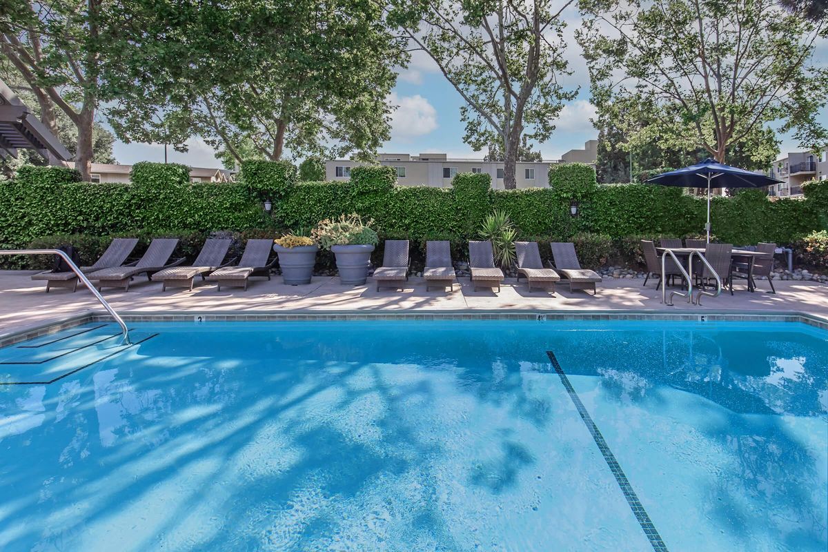 A serene swimming pool surrounded by lounge chairs and potted plants, set against a backdrop of lush greenery. The water is clear and inviting, reflecting the blue sky and tree branches overhead, creating a tranquil atmosphere suitable for relaxation.