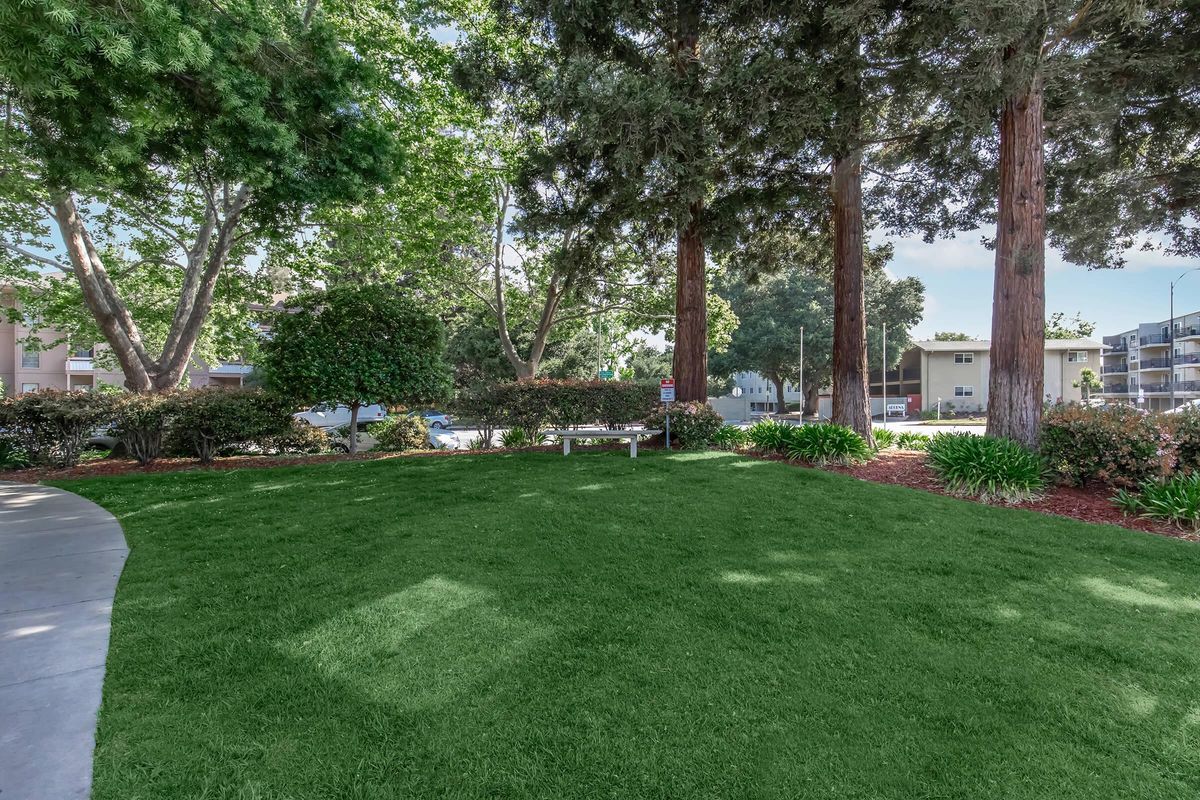 Green grassy area with tall trees and shrubs, featuring a park bench nestled among the foliage. Sunlight filters through the leaves, creating a peaceful outdoor setting, with a pathway leading through the greenery. Nearby buildings are visible in the background.