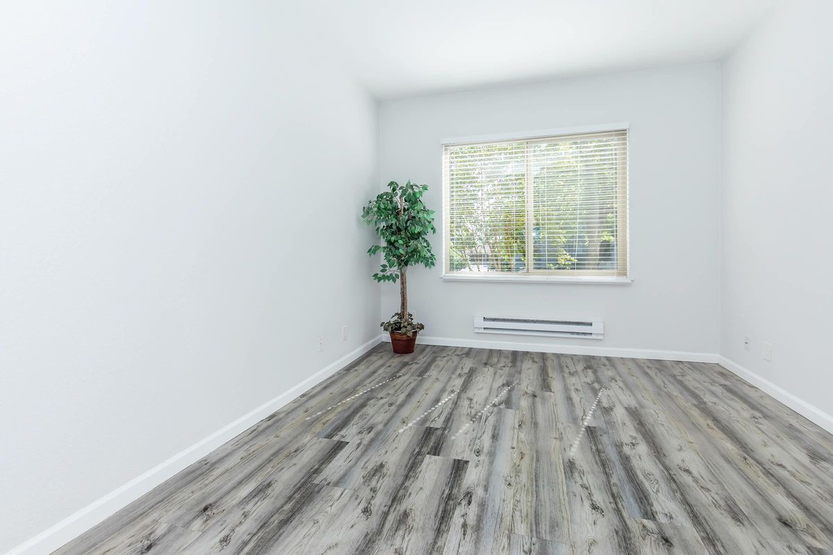 A bright, empty room with white walls and light wooden flooring. There is a large window with blinds letting in natural light, and a small potted plant positioned in one corner. The overall ambiance is clean and minimalist.
