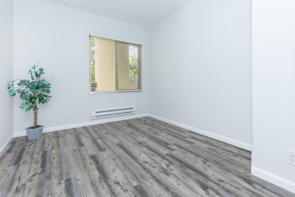 An empty room with gray wooden flooring and white walls. A small potted plant sits in the corner near a window with blinds, allowing natural light to enter. The space has a clean and minimalist appearance, with a heating unit below the window.