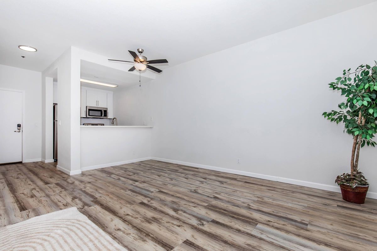 A spacious, well-lit living area with light-colored walls and laminate flooring. The room features a ceiling fan and a small potted plant in the corner. An open kitchen area with modern appliances is partially visible in the background. The overall atmosphere is clean and inviting.