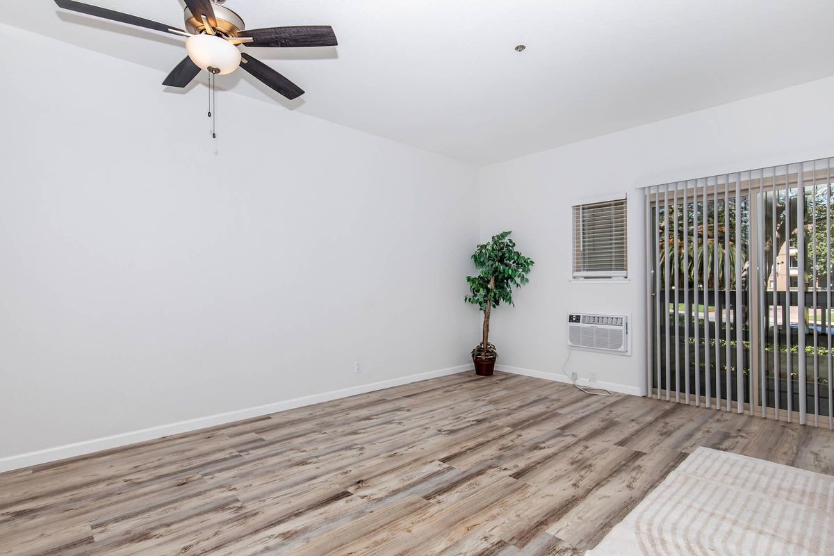 A spacious, empty interior room featuring light wood floors, a ceiling fan, a large window with vertical blinds, and an air conditioning unit. A small indoor plant is placed in a pot, adding a touch of greenery to the otherwise minimalistic space. The walls are painted white.