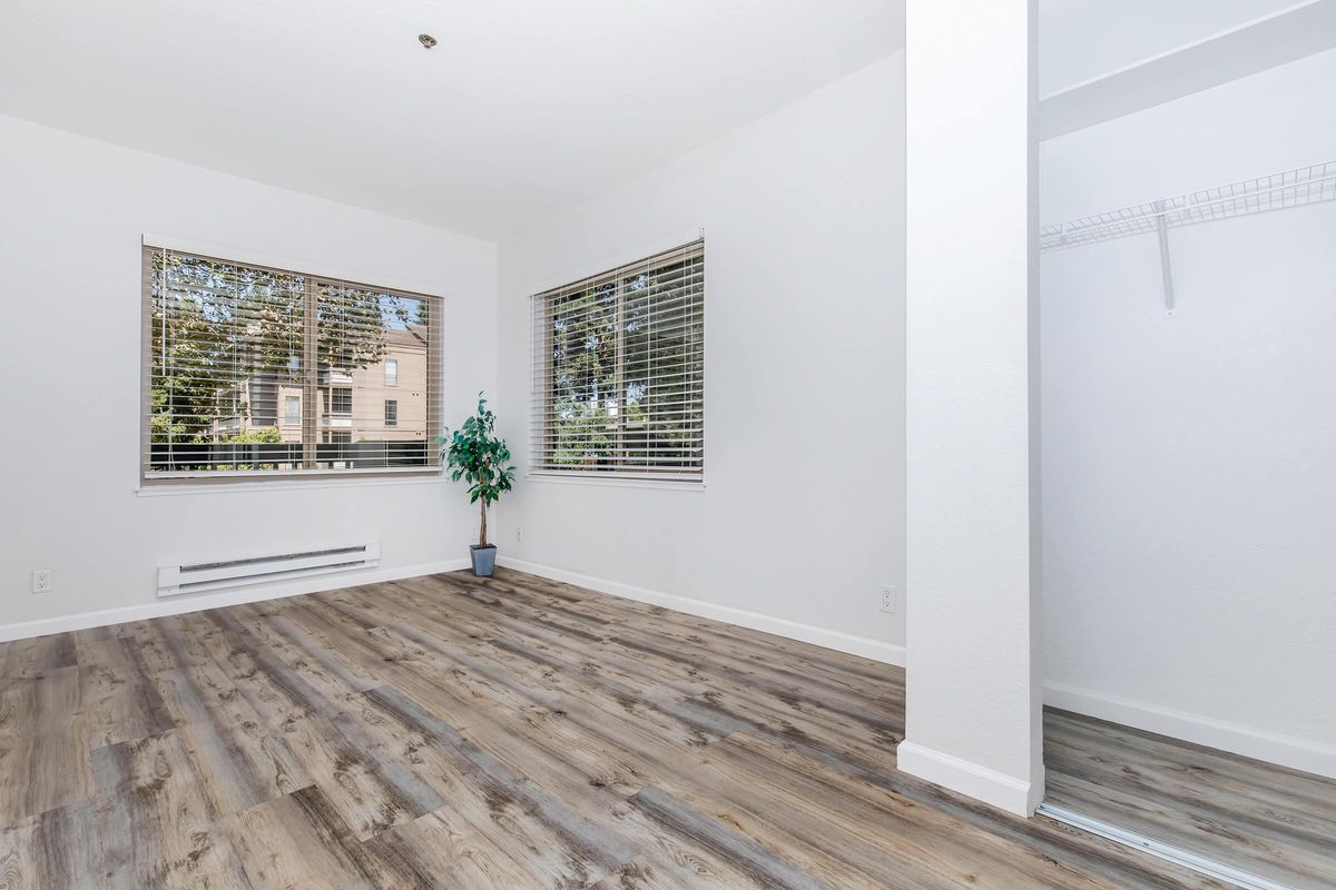 A bright, empty room featuring large windows with blinds, allowing natural light to illuminate the space. There is a small potted plant in the corner and light-colored wooden flooring. A closet with sliding doors is visible on the right side, enhancing the room's simplicity and openness.