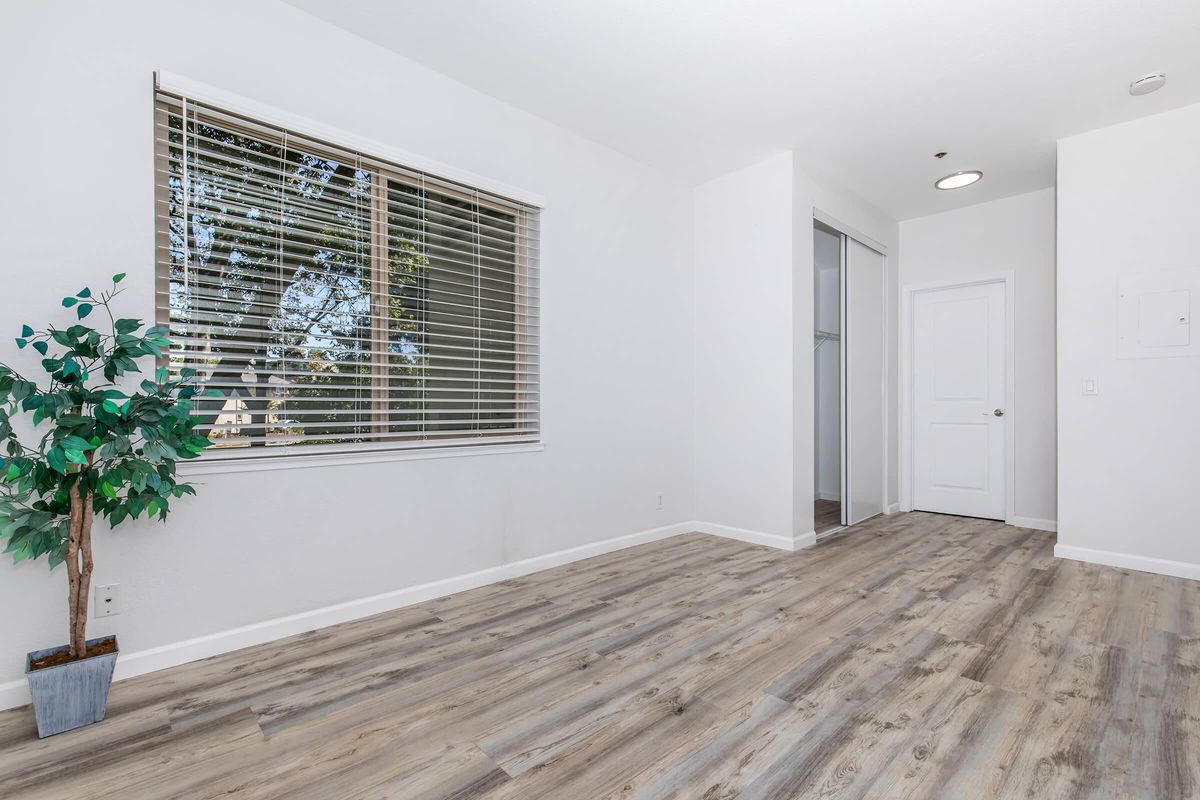 A bright, empty room featuring light wood flooring, a large window with blinds, and a potted plant in the corner. The walls are painted white, and there is a door leading to another area. Natural light floods the space, creating a welcoming atmosphere.