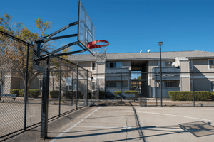 PLAY PICK-UP AT THE BASKETBALL COURT