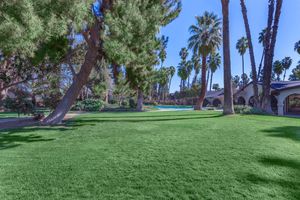 a large lawn in front of a palm tree