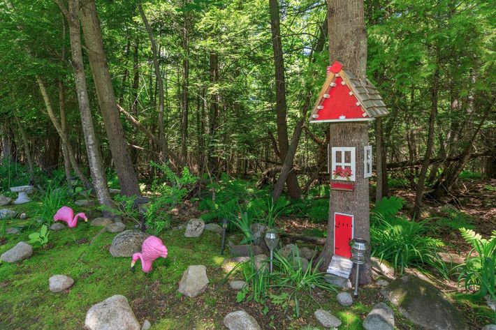 a red fire hydrant in the middle of a forest