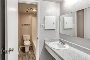 A small bathroom featuring a toilet, a shower/tub combination, a countertop with a sink, and two mirrors above the sink. The walls are painted light gray, and the floor has a wood-like appearance.
