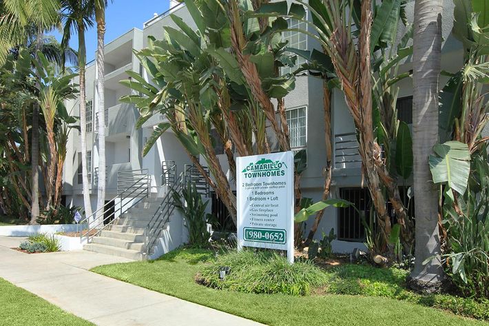 a sign on a sidewalk next to a palm tree