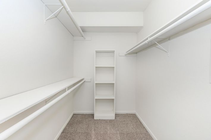 WALK-IN CLOSET WITH SHELVING