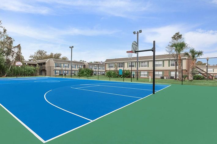 a blue and green court