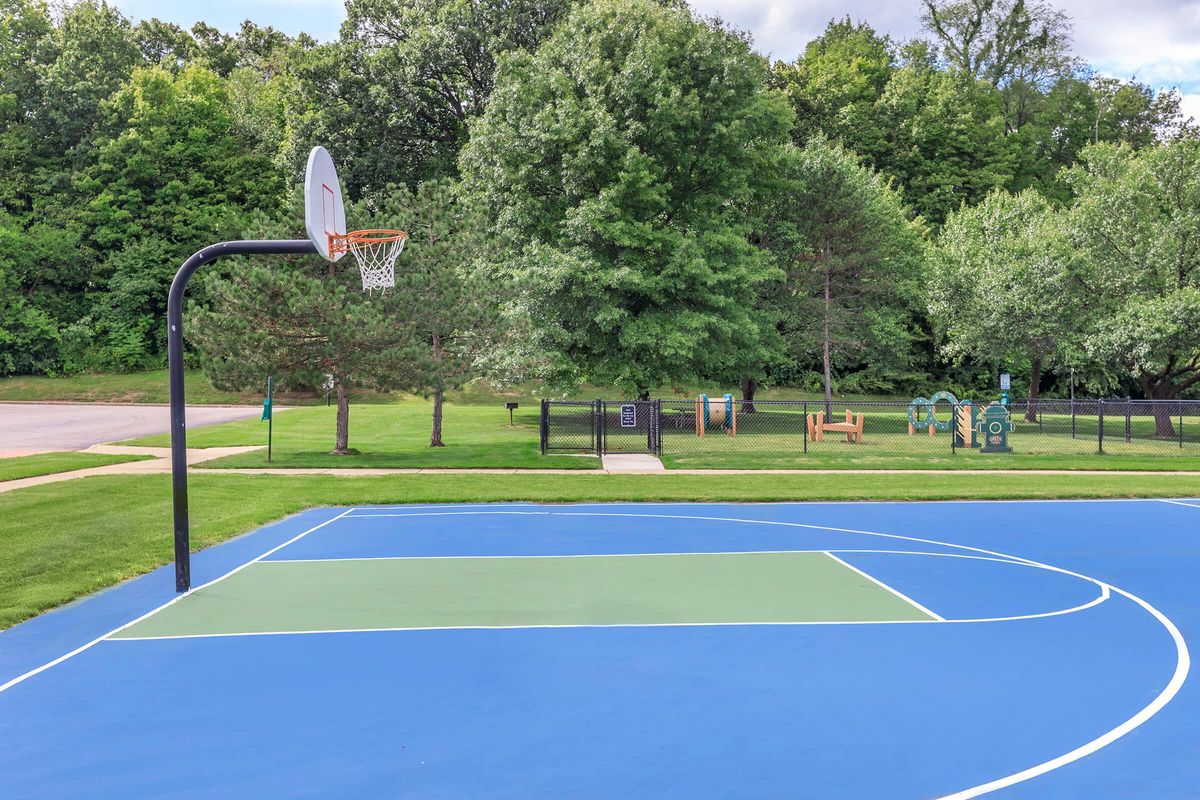 a basketball court