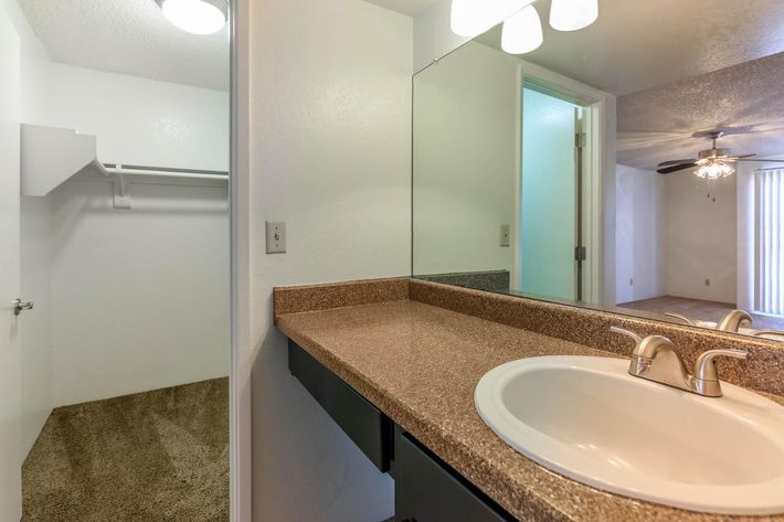 a double sink and large mirror