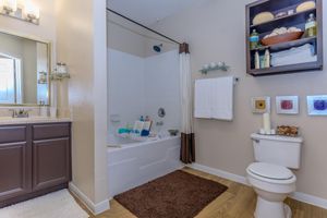furnished bathroom with a brown shower rug