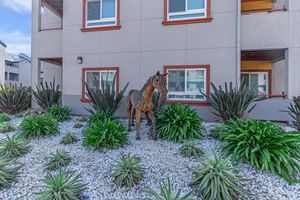 A wooden horse sculpture stands among lush green plants and white gravel in a modern outdoor setting, with a gray building in the background. The scene features a blend of natural elements and artistic decoration.