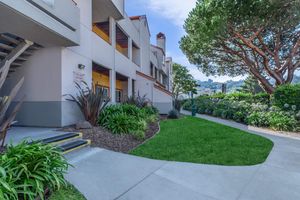 A well-maintained garden area with lush green grass and various plants, featuring a curved walkway leading to a multi-story building. The building has a light exterior and large windows, while a tall tree provides shade nearby. Sunny weather highlights the vibrant colors of the landscape.