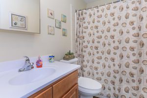 a sink and a shower curtain