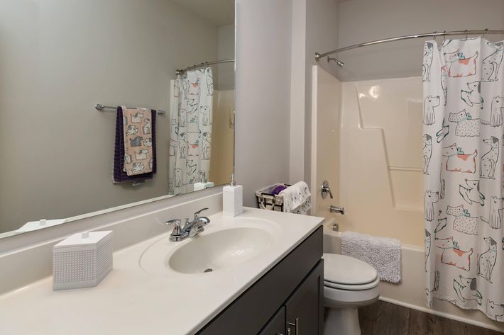 Modern Bathroom At New Providence Park In Wilmington, NC