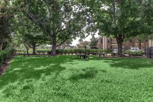 A shaded green park area with two large trees and a bench, surrounded by neatly trimmed grass. In the background, there are buildings and a parking lot visible, providing a serene outdoor space.